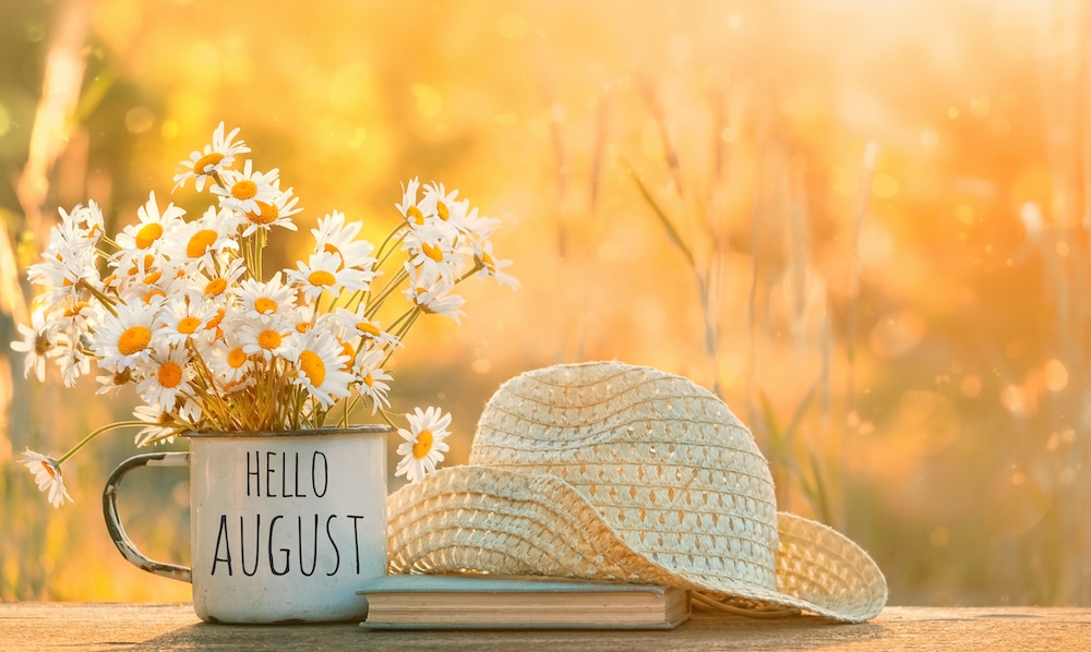 Hello August