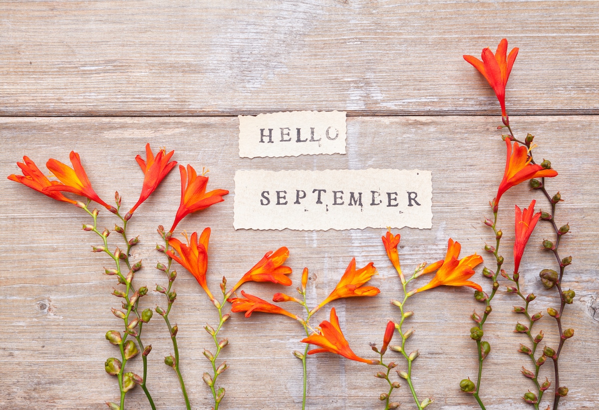 Hello September