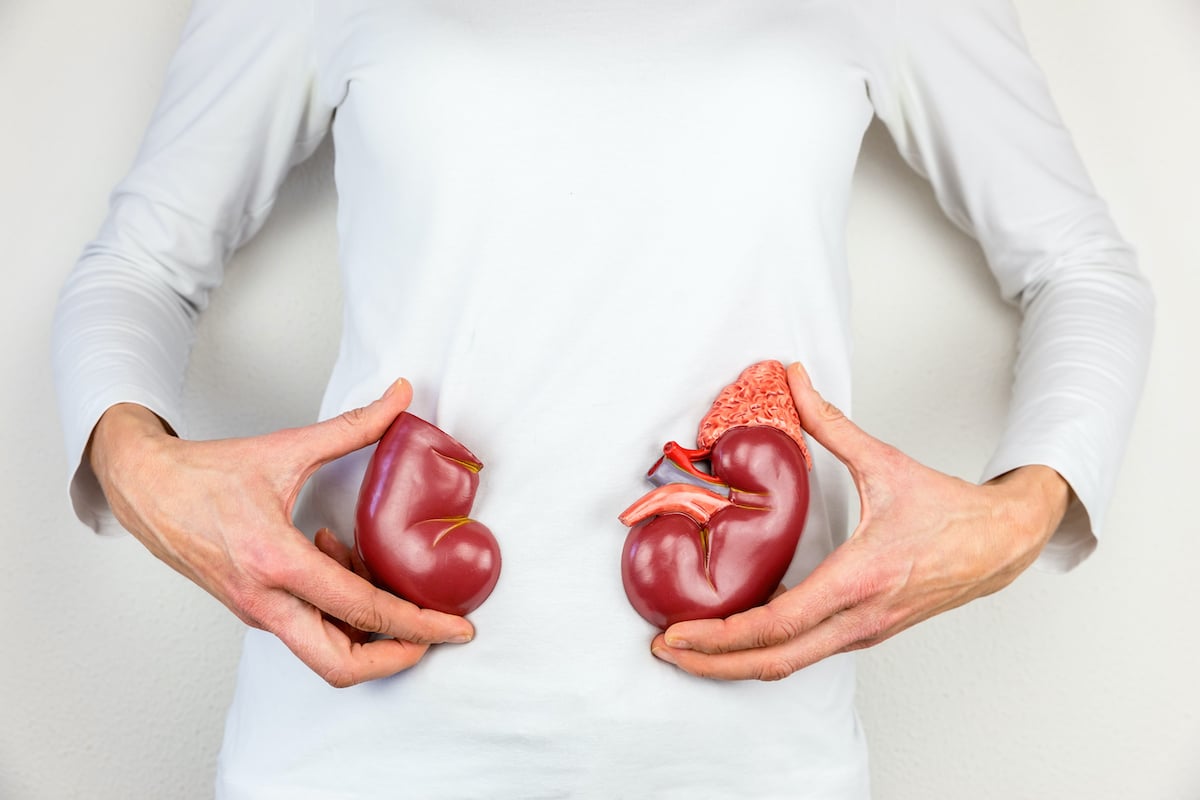 Woman holding models of kidneys