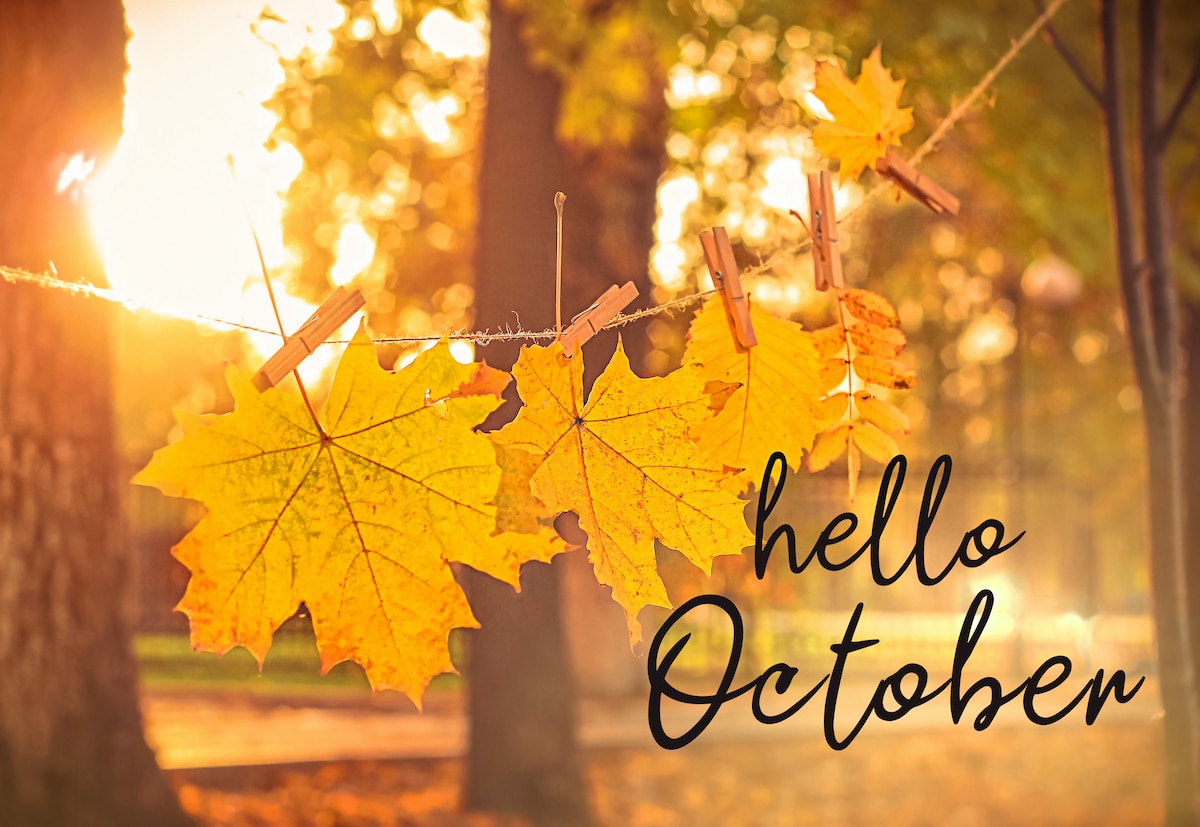 Fall Leaves - Hello October