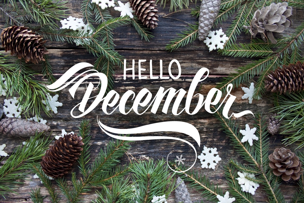 Hello December