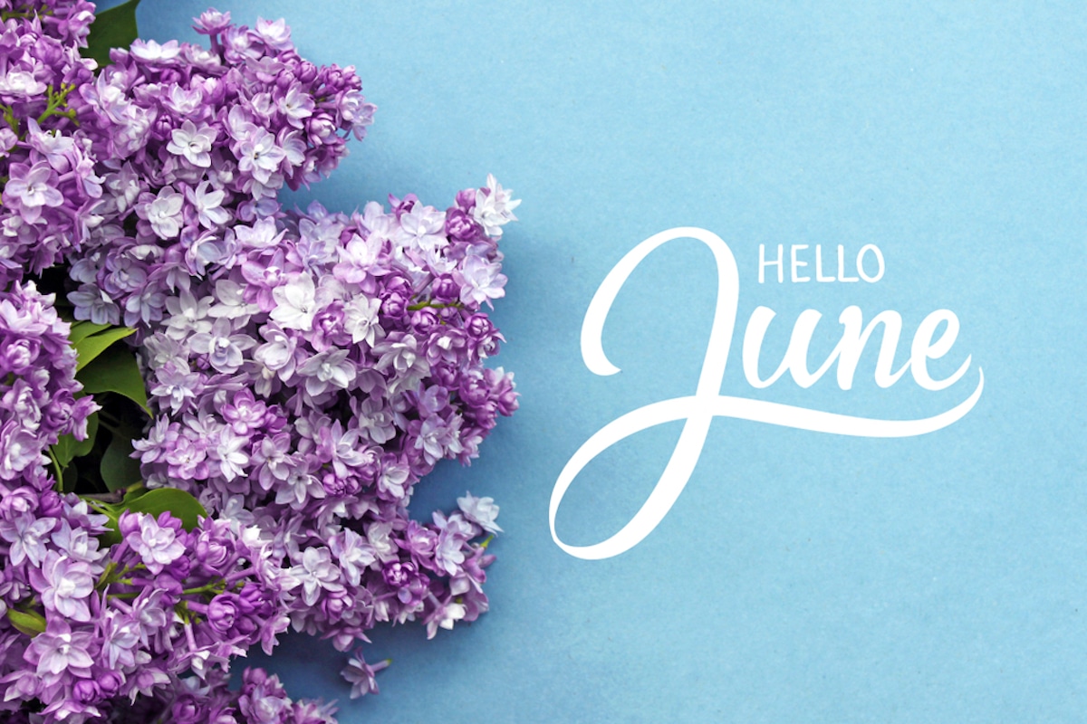 Hello June