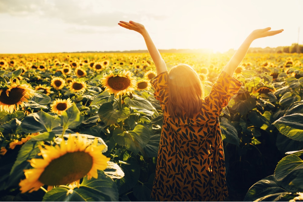 Joyful woman walking amongst sunflowers