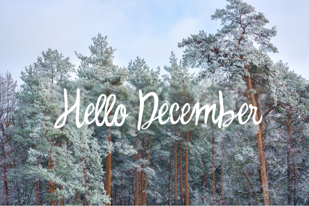 Hello December